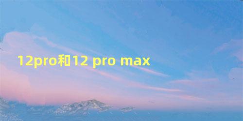 12pro和12 pro max区别